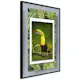 Poster Artgeist Affisch Toucan