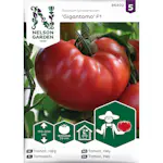 Frö Nelson Garden Tomat Hög Gigantomo F1