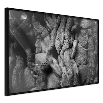 Poster Artgeist Affisch Overgrown Stones