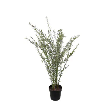 Konstväxt Mr Plant Eucalyptus 95-170