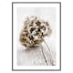Poster Gallerix Dried Field Flower No1