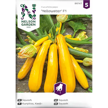 Frö Nelson Garden Squash Yellowstar F1