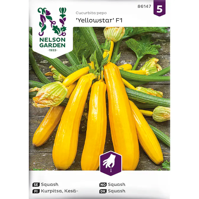 Frö Nelson Garden Squash Yellowstar F1