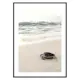 Poster Gallerix Sea Turtle On Beach