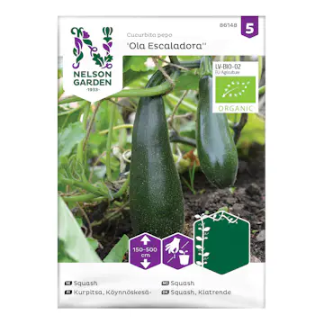 Frö Squash Nelson Garden Kläng Ola Escaladora Eko