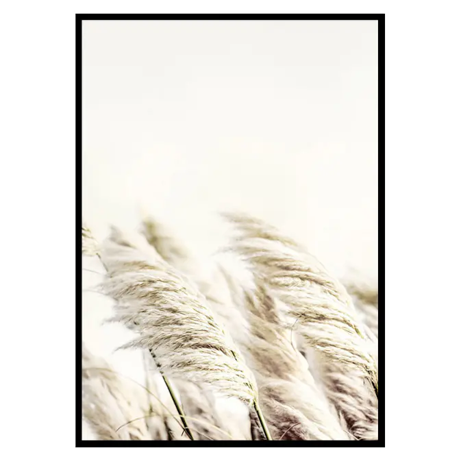 Poster Gallerix Reed In Wind