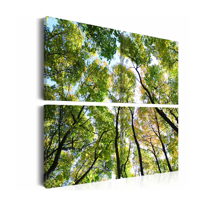 Tavla Arkiio Treetops