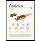 Poster Gallerix Arabica Coffee Beans