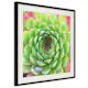 Poster Artgeist Affisch Succulent