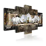 Tavla Arkiio The Dream Of A Orchids