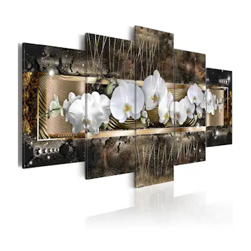 Tavla Arkiio The Dream Of A Orchids