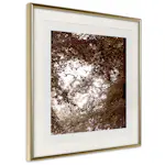 Poster Artgeist Affisch Freedom