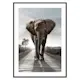 Poster Gallerix Elephant Road
