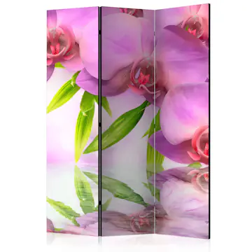 Rumsavdelare Skärmvägg Arkiio Orchid Spa 135x172 cm