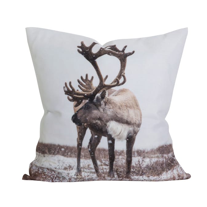 Kuddfodral Svanefors Rubens