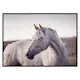 Poster Gallerix White Horse
