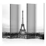 Rumsavdelare Skärmvägg Arkiio Paris: Black And White Photography II 225x172 cm