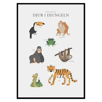 Poster Gallerix Djur I Djungeln