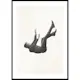 Poster Gallerix Free Falling