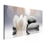 Tavla Arkiio Pebbles In Water