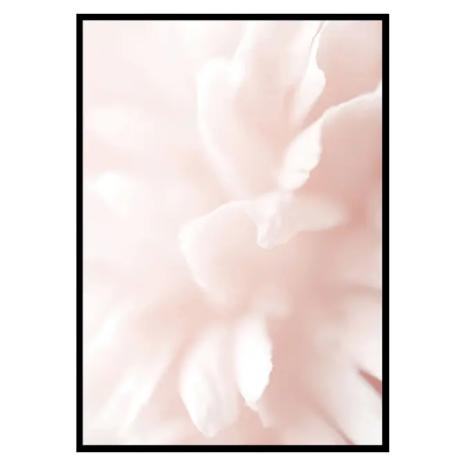 Poster Gallerix Tender Flowers No3