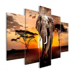 Tavla Arkiio WanderIng Elephant Wide 5 delar 225x100