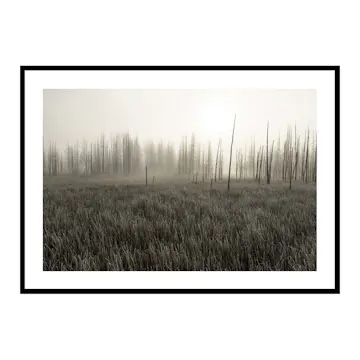 Poster Gallerix Tangled Creek