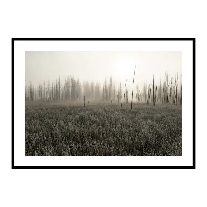 Poster Gallerix Tangled Creek