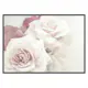 Poster Gallerix Perfect Pair Roses