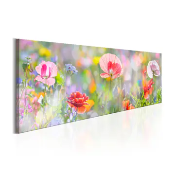 Tavla Arkiio Rainbow Of Morning Poppies