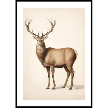 Poster Gallerix Brown Deer