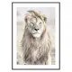 Poster Gallerix Majestic Lion Color