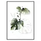 Poster Gallerix Watercolor Botanical No2