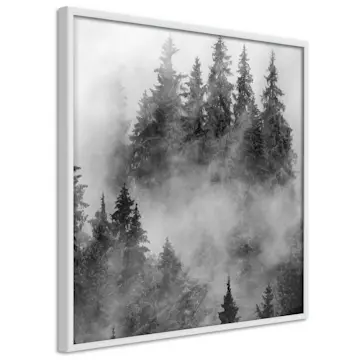 Poster Artgeist Affisch Black Forest