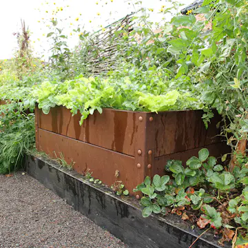 Odlingslåda Flexigarden Cortenplåt 2 mm 800x1200x400 mm