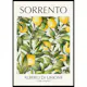 Poster Gallerix Sorrento Albero Di Limone