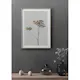 Poster Gallerix Single Dried Flower