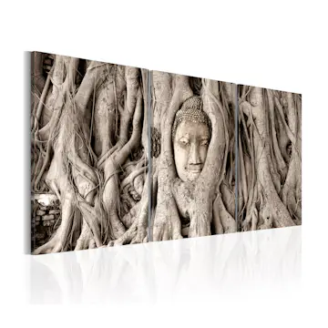 Tavla Arkiio Meditation's Tree