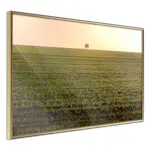 Poster Artgeist Affisch Autumn Morning