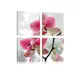 Tavla Arkiio Fancy Orkidé