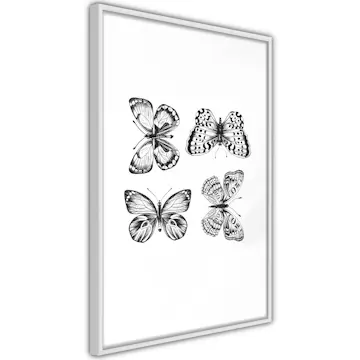 Poster Artgeist Affisch Four Butterflies