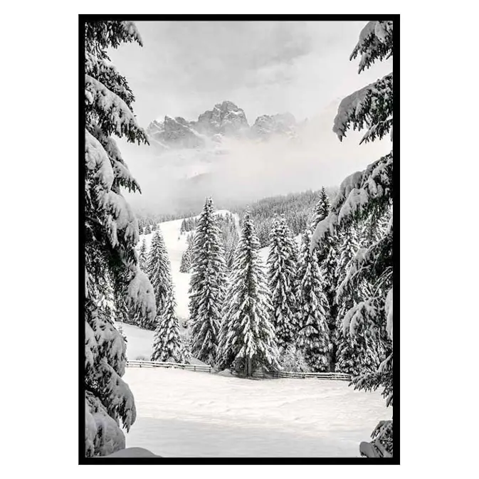 Poster Gallerix Between Spruces