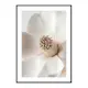 Poster Gallerix Beige Magnolia No2