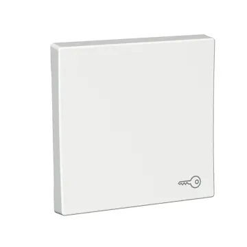 Strömbrytare Schneider Electric Exxact Nyckelsymbol