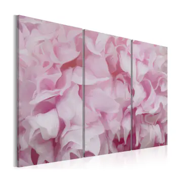 Tavla Arkiio Azalea I Rosa