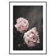 Poster Gallerix Pink peonies No2