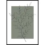 Poster Gallerix Botanical Sketch No2