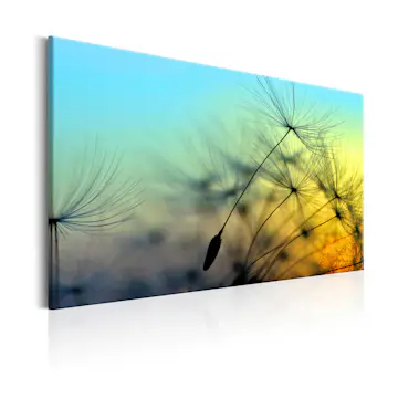 Tavla Arkiio Ballad Of The Wind