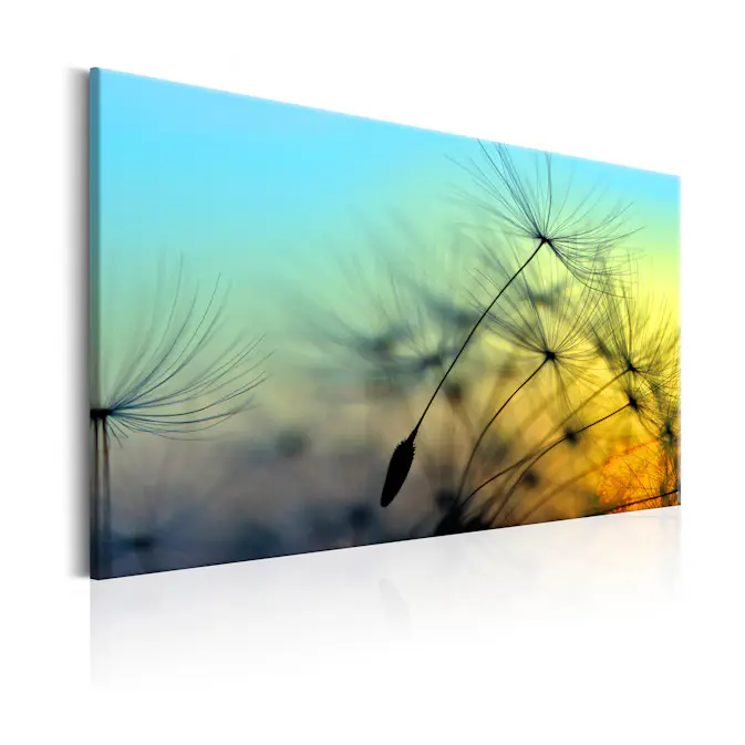 Tavla Arkiio Ballad Of The Wind