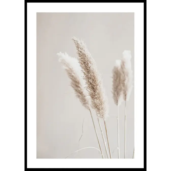 Poster Gallerix Boho Dried In Nature No6
